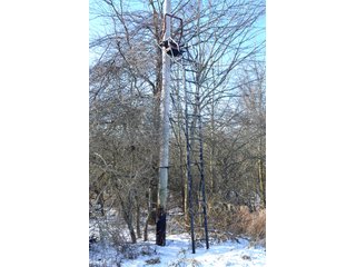 54.7 Acres with 50 tillable and 4.3 wooded.  Surrounded by heavy deer population on CRP land.  Great trophy deer hunting on established food plots.  Hunting tower.

Receive income on tillable acres while abundance of deer hunting on established food plot. - Great Investment Opportunity - Tillable Land, Recreation & Building Site